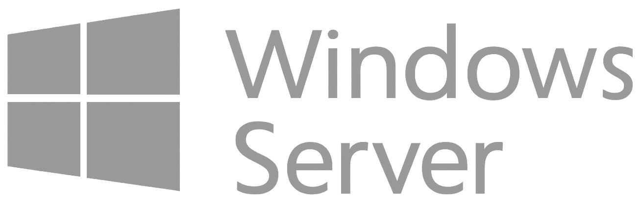Microsoft Windows Server logo